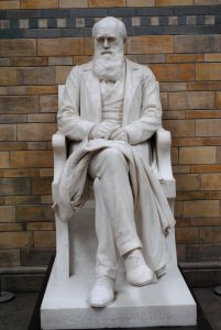 Darwin’s statue